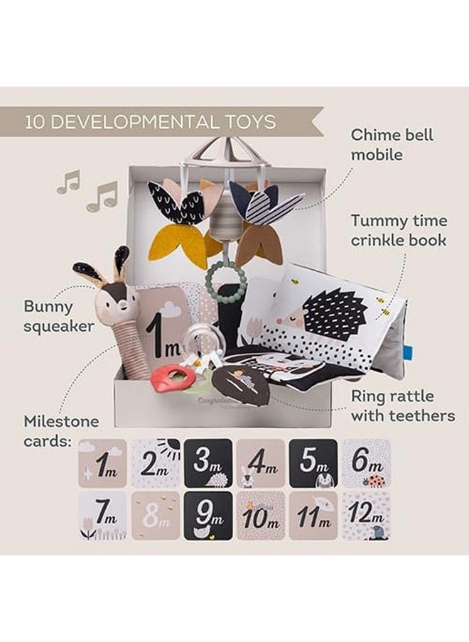 Taf Toys Taf Toys Black and White Newborn Kit - 10 Black and White Baby Toys, High Contrast Baby Toys for Newborn, Baby Essentials Must Haves, Tummy Time Toys for Motor Skills Infants Babies 0 3 6 Months  - Image 3