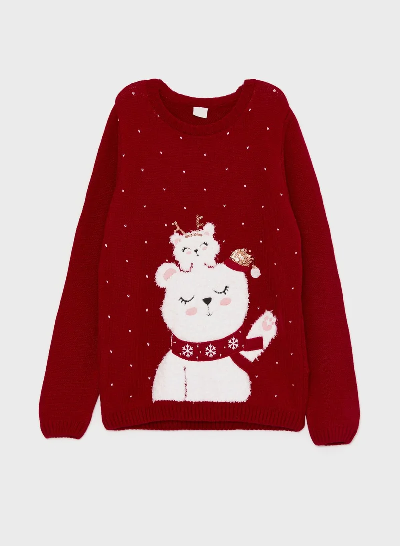 LC WAIKIKI Youth Embroidered Sweater
