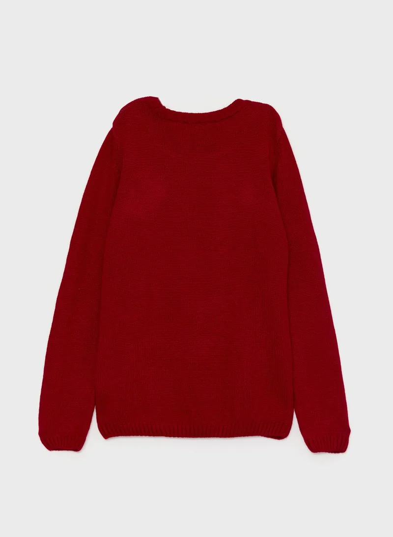 LC WAIKIKI Youth Embroidered Sweater