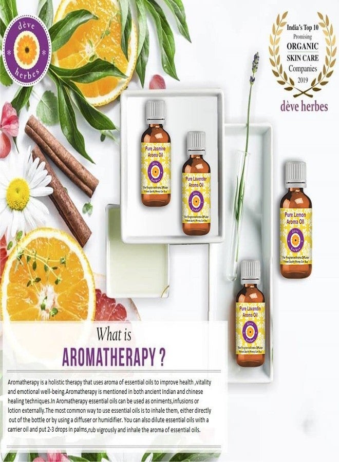 ديف هيربس زيت ديف هيربس أميريس العطري (أميريس بلسميفيرا) مع قطارة زجاجية، نقي | غير لزج | غير دهني | خفيف الوزن | للرجال والنساء | لجميع أنواع البشرة | مقطر بالبخار 100 مل - Image 3