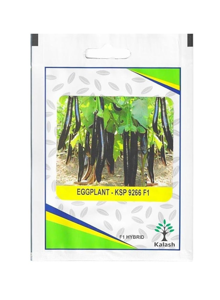 Generic Kalash Eggplant KSP 9266 F1 Hybrid Premium Quality Seeds By "Garden Care" 