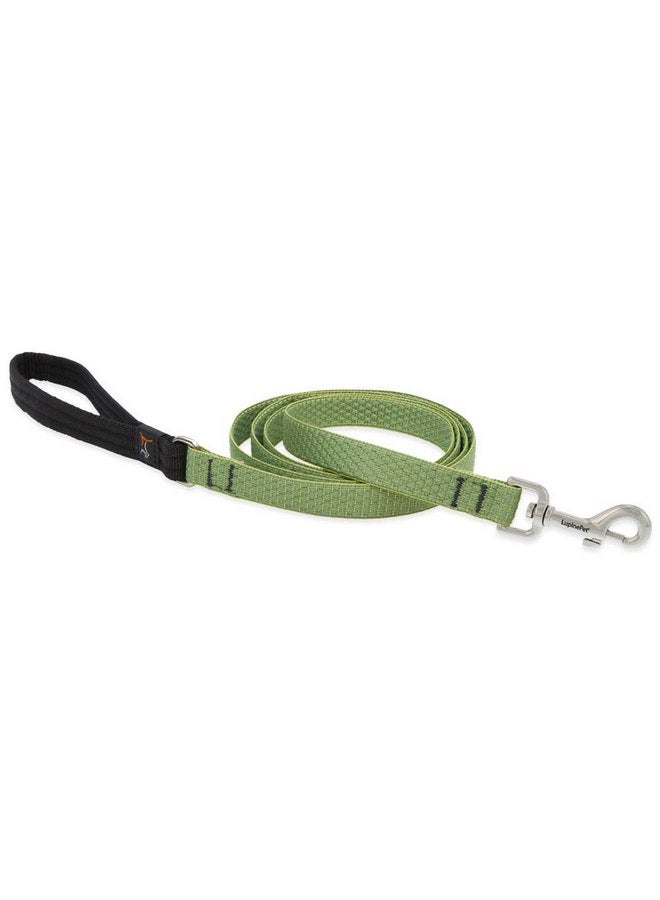 Dog Leash by Lupine ECO Collection 3/4" Wide Moss 4-Foot Long with Padded Handle