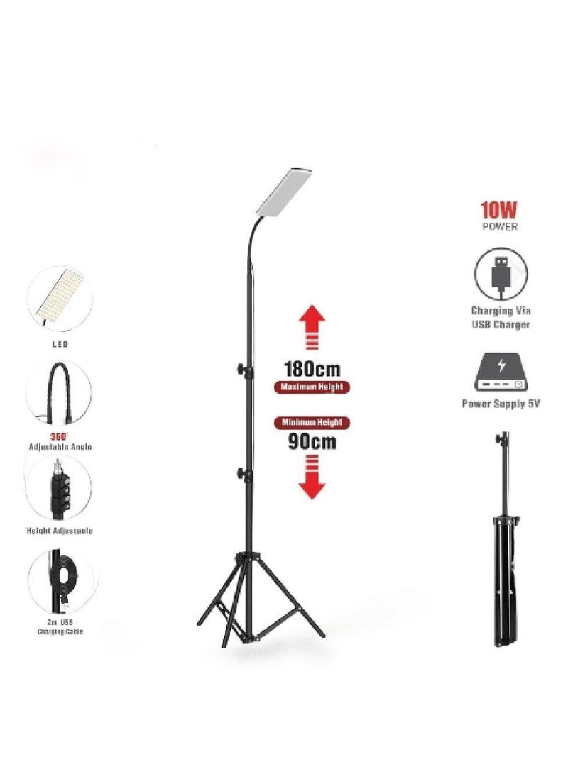 Outdoor LED Light with Adjustable Stand 10W - Image 2