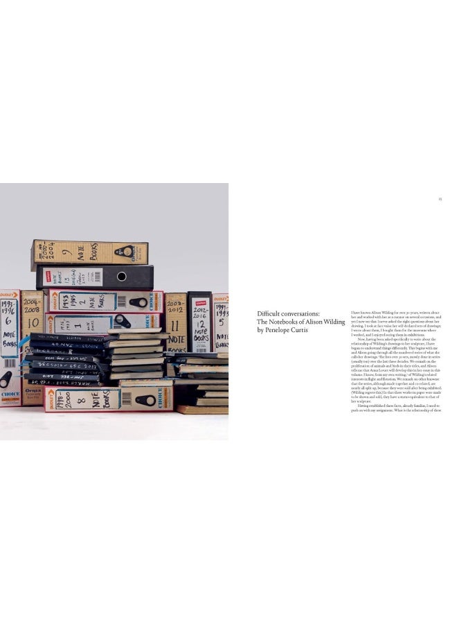 Alison Wilding: On Paper - Image 5