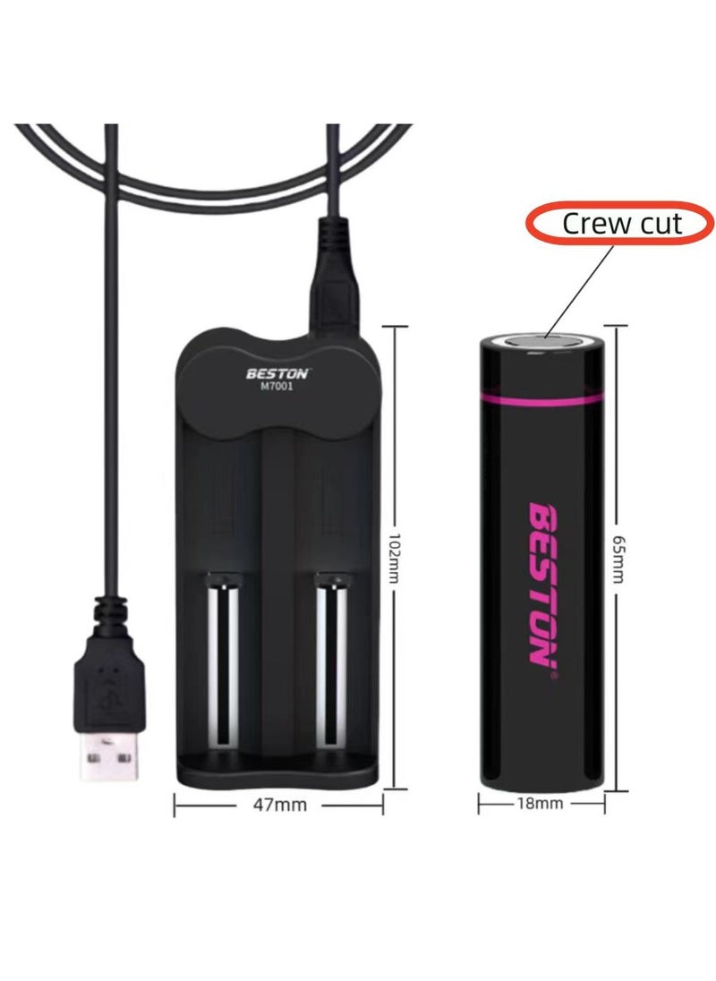 18650 Battery Charger＋ 2 Pcs Rechargable 18650 Li-Ion Battery 2600 mAh