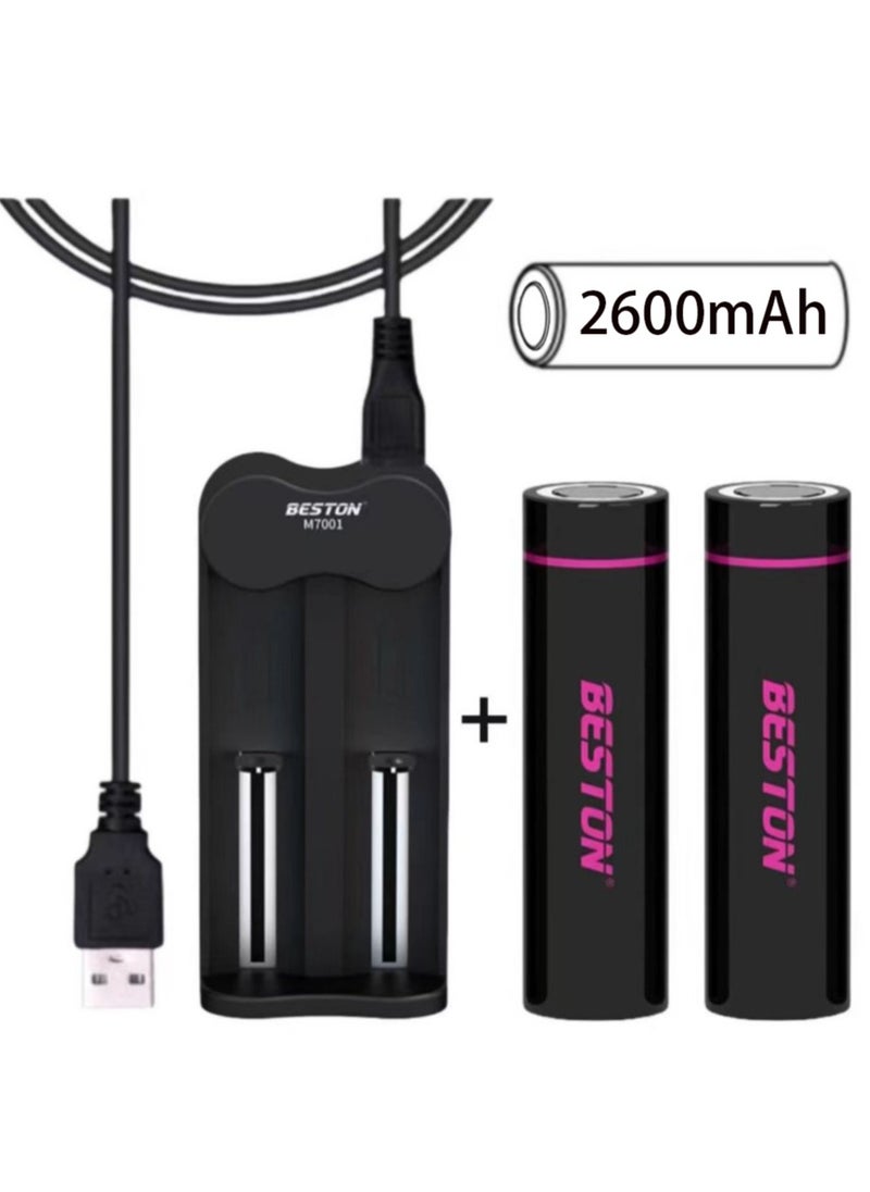 18650 Battery Charger＋ 2 Pcs Rechargable 18650 Li-Ion Battery 2600 mAh