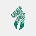كوتش IVY