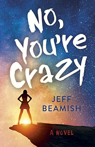 No Youre Crazy A Novel