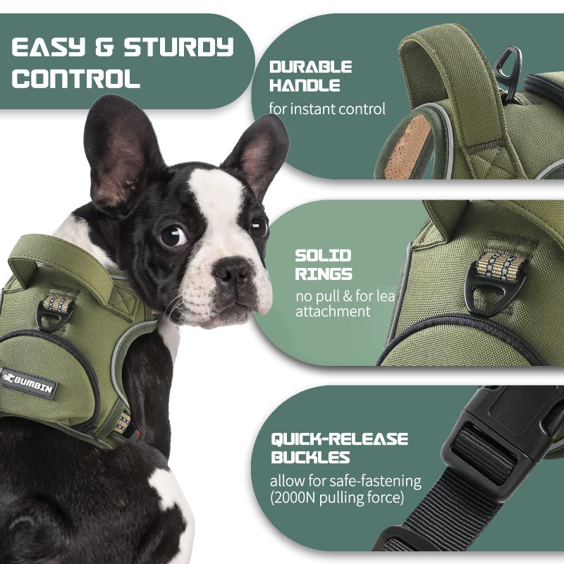 BUMBIN No Pull Dog Harness for Medium Dogs, Adjustable No Choke Pet Vest with Dog Leash Fit Smart Reflective Pet Walking Harness for Training Easy Control Soft Handle Green M - Image 3