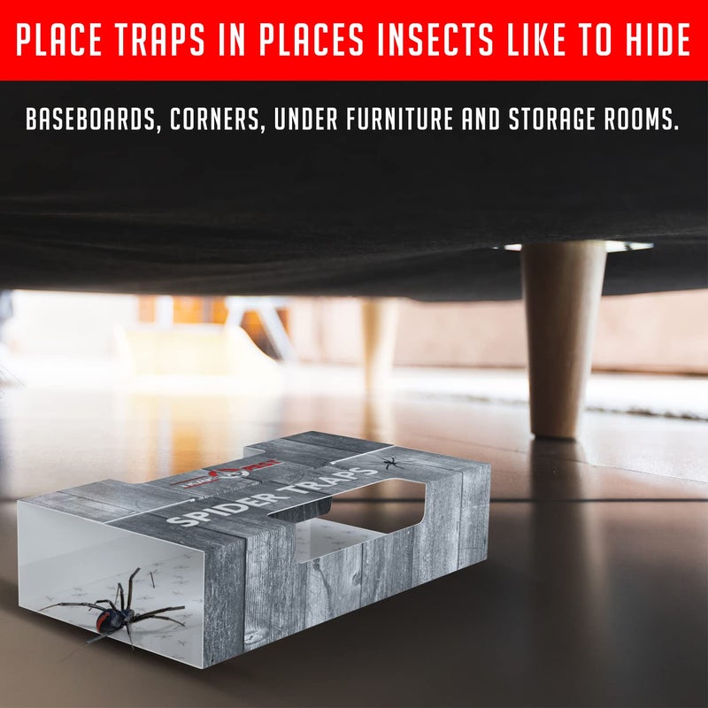 TRAP A PEST مصائد العناكب داخل منزلك (30 مصيدة) - مصائد العناكب الداخلية - مصائد العناكب اللاصقة - مصائد لاصقة للعناكب - مصائد لاصقة فائقة اللصق مسبقة التحضير - Image 5