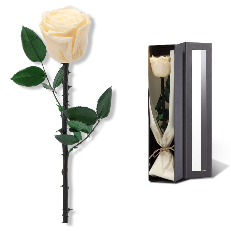 Champagne Flowers for Delivery Prime Preserved Champagne Roses Flower Gifts for Women Real Roses Single Rose Gifts for Her Mom Birthday Gifts from Daughter Valentines Flowers