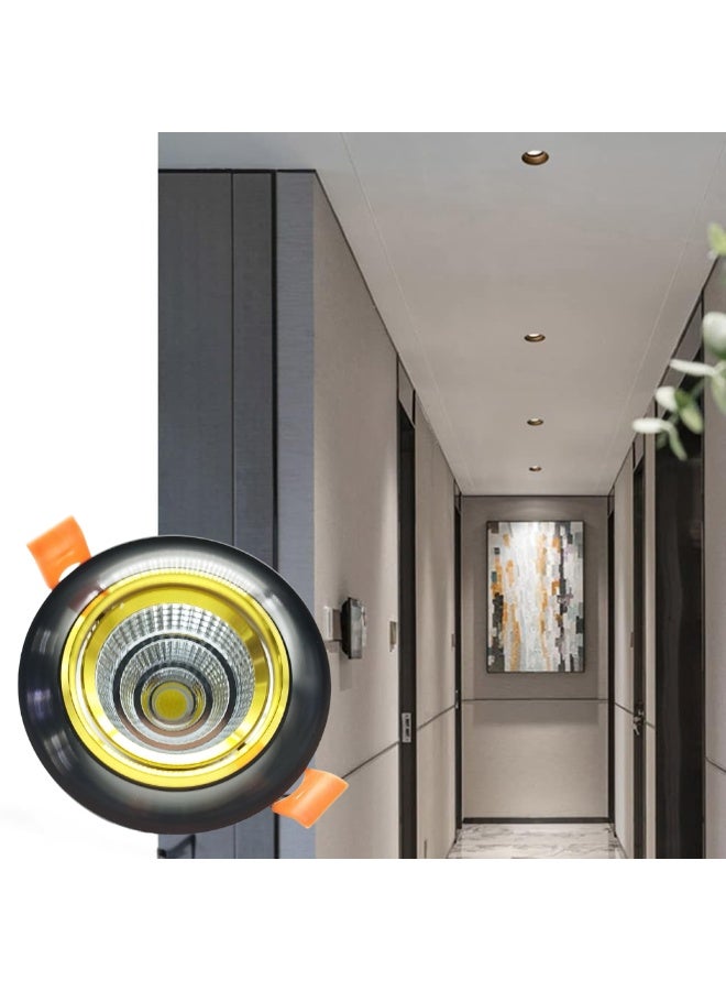 م.م.ذ  دحاولا صخشلا ةكرش اهمزاولو ةرانلا  تادعم ةراجتل زنيل دنآ وتلب سبوت لايت سقفي LED COB من PLATO بقدرة 10 واط (عبوة قطعتين) | متحرك | هيكل أسود وذهبي | إضاءة دافئة 3000 كلفن - Image 3