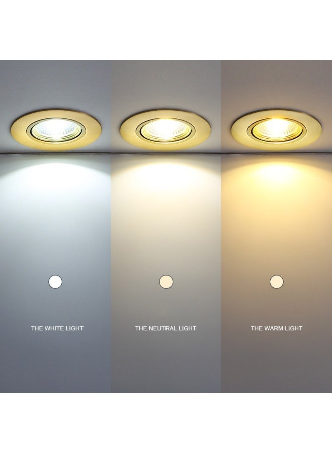 م.م.ذ  دحاولا صخشلا ةكرش اهمزاولو ةرانلا  تادعم ةراجتل زنيل دنآ وتلب سبوت لايت سقفي LED COB من PLATO بقدرة 10 واط (عبوة قطعتين) | متحرك | هيكل أسود وذهبي | إضاءة دافئة 3000 كلفن - Image 2