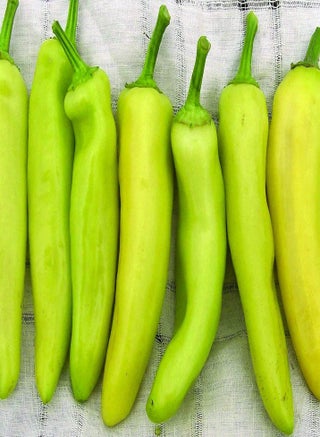 Hungarian Yellow Wax Hot Peper 100pcs Seeds for Planting, Canary Yellow Chile , Non GMO, Open Pollinated, Capsicum Annum,  Crop, Heirloom Vegetable, Very Tasty n Spicy - pzsku/ZE11F27CF46176F1761B9Z/45/_/1733396530/9bdec081-3436-4c18-a020-f3a88985b9c8