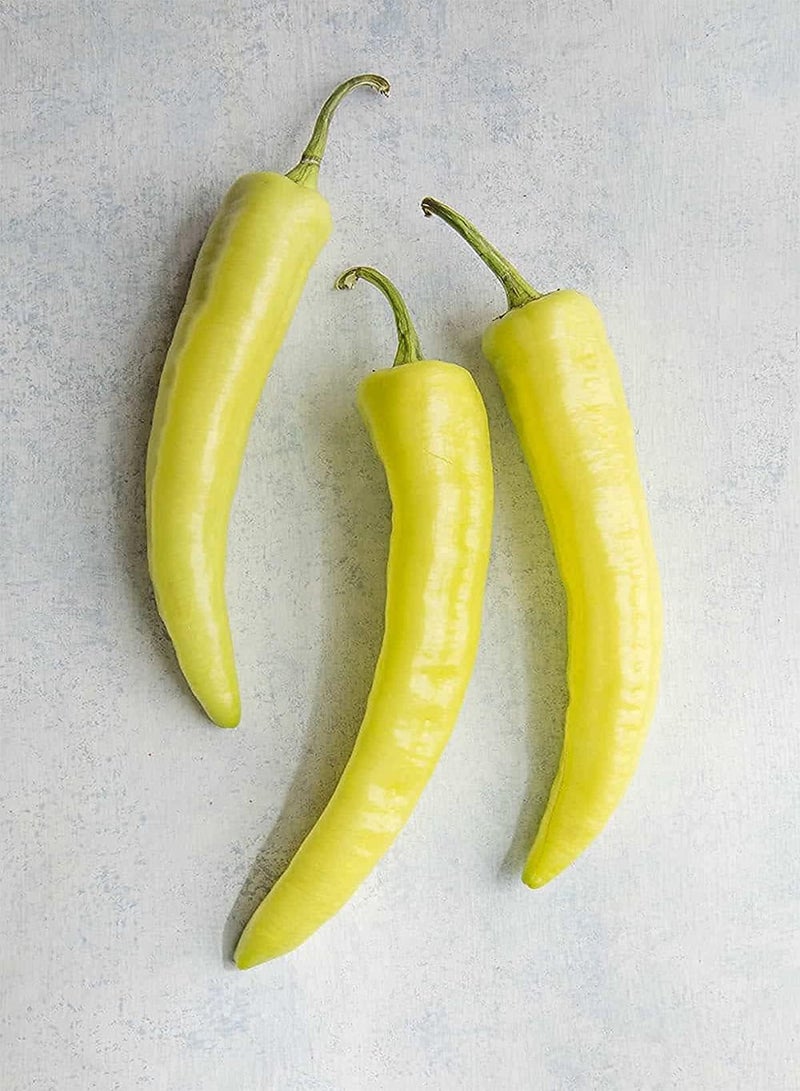 Hungarian Yellow Wax Hot Peper 100pcs Seeds for Planting, Canary Yellow Chile , Non GMO, Open Pollinated, Capsicum Annum,  Crop, Heirloom Vegetable, Very Tasty n Spicy