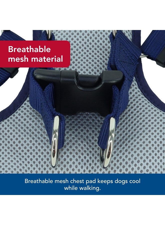 Coastal Pet Ribbon Designer Wrap Adjustable Dog Harness - Large & Small Dog Harness - Breathable Mesh Harness for Dogs Pet Supplies for Dogs - Yellow Buttercup, 3/4" x 22-28" - Image 4