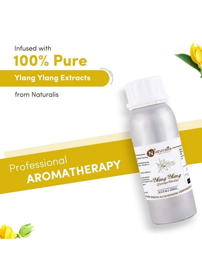 Naturalis Essence Of Nature Ylang Ylang Essential Oil For Hair And Skin Care 250Ml  - Image 3
