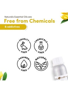 Naturalis Essence Of Nature Ylang Ylang Essential Oil For Hair And Skin Care 250Ml  - Image 5