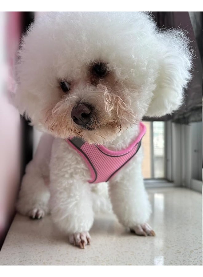 No Pull Dog Harness & Leash Set, Small to Large Sizes, Mesh, Pink - Image 2