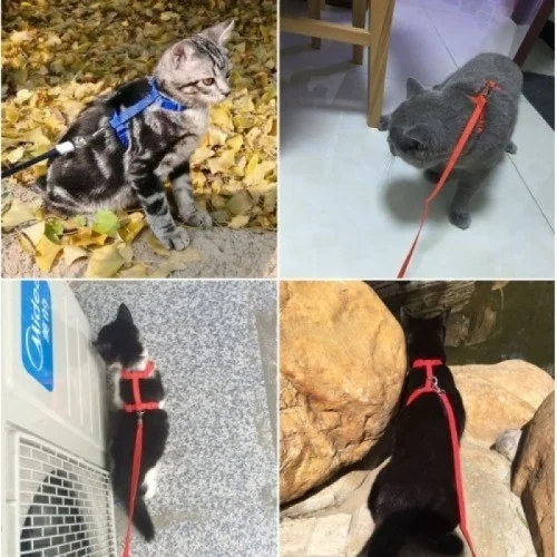 PETKIT Cat Neck and Chest Collar