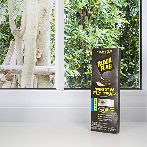 Black Flag Window Fly Trap, Transparent Glue Traps 4 Count - Image 5