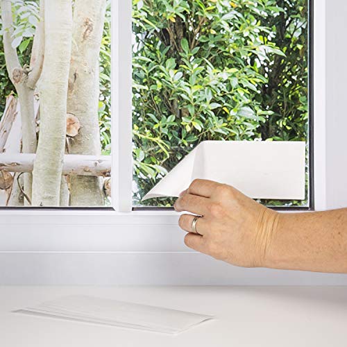 Black Flag Window Fly Trap, Transparent Glue Traps 4 Count - Image 4