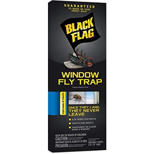 Black Flag Window Fly Trap, Transparent Glue Traps 4 Count - Image 1