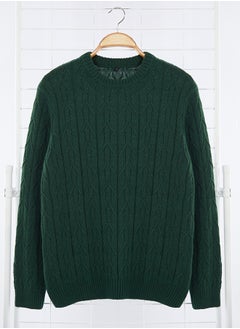 Emerald Green Regular Crew Neck Textured Knitwear Sweater TMNAW25KZ00021 - pzsku/ZE124876C9ED021303417Z/45/_/1730939986/432f0f12-c9d5-4a2d-a273-3d9fc6847164