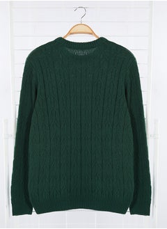 Emerald Green Regular Crew Neck Textured Knitwear Sweater TMNAW25KZ00021 - pzsku/ZE124876C9ED021303417Z/45/_/1730939989/cb58b6d9-df60-43ca-9dd8-3569b72235a6