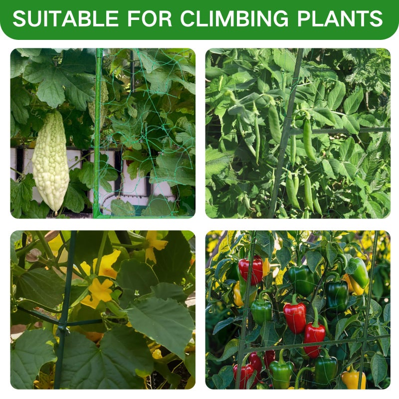 wikdey Cucumber Trellis for Raised Beds - 48"x30"x48"Sturdy Arch Trellis for Peas, Beans & Climbing Plants | Outdoor Vegetable Support, Garden Trellis Kit - Image 3