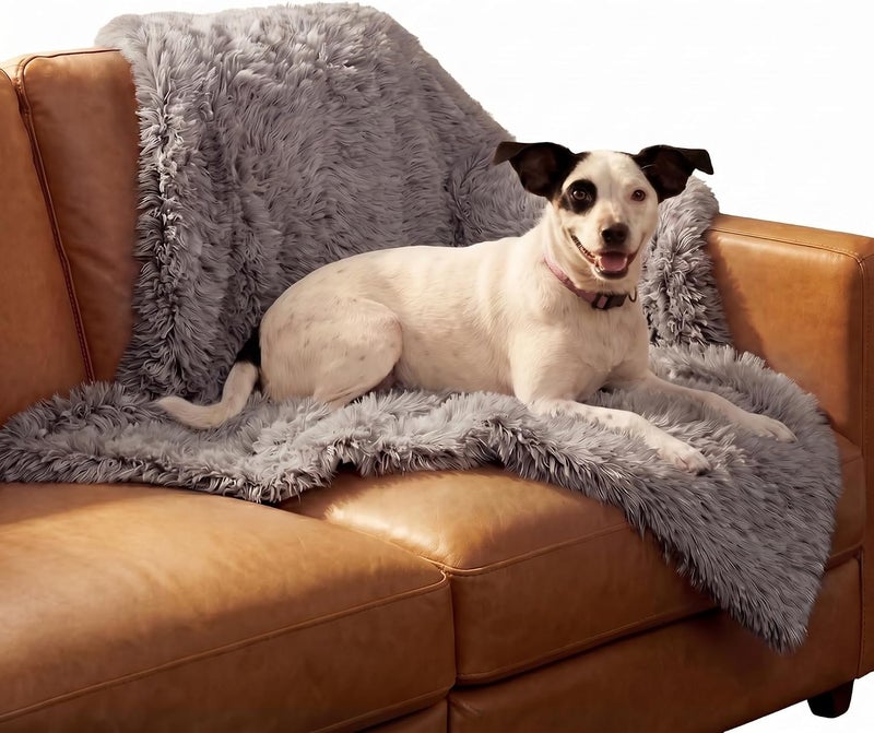 Furhaven Waterproof Throw Blanket for Dogs & Indoor Cats, Washable - Shaggy Plush Calming Long Faux Fur & Velvet Dog Blanket - Gray, Medium - Image 1