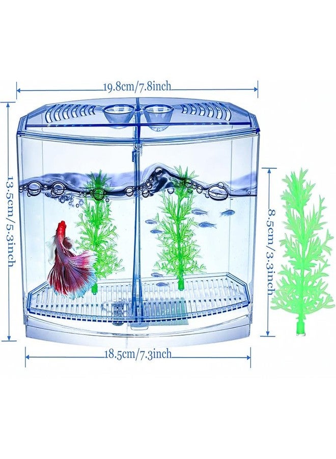 TRADESK Anky Betta Fish Tank with 2 compartments | Fighter Fish Tank with partition | Suitable only for Small Fishes - Image 3