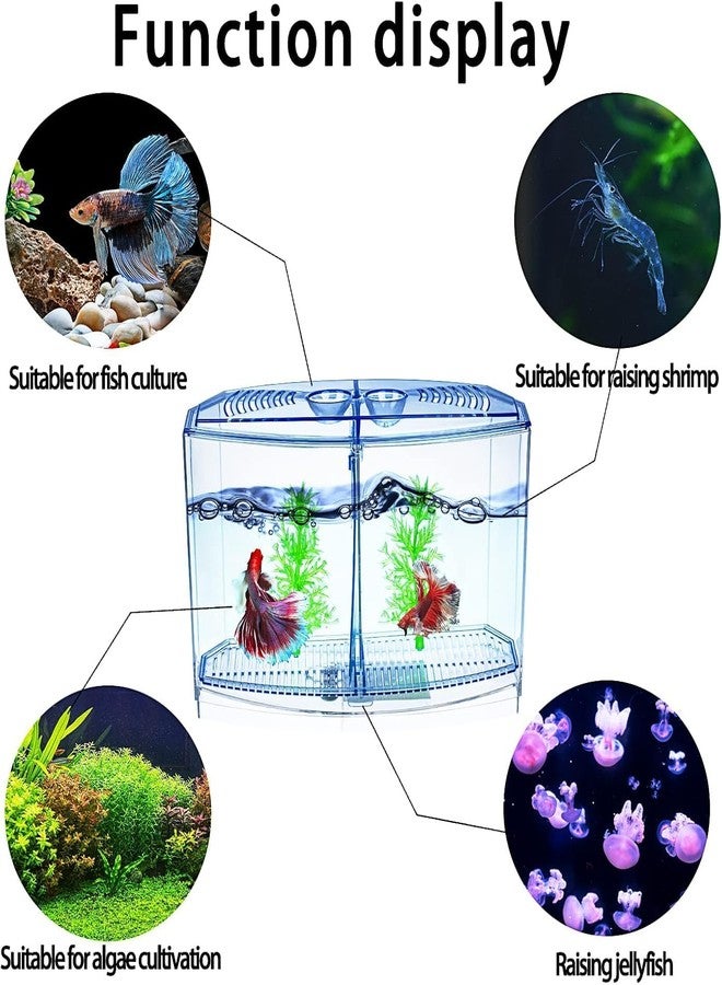 TRADESK Anky Betta Fish Tank with 2 compartments | Fighter Fish Tank with partition | Suitable only for Small Fishes - Image 2