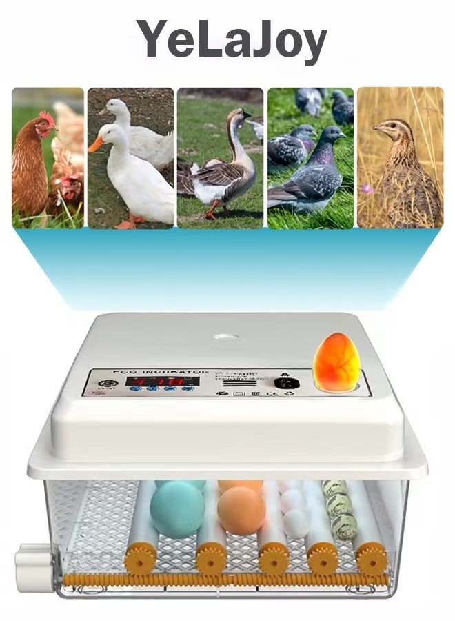 يلا جوي حاضنة منزلية صغيرة آلية تحول البيض الذكي آلة فقس البيض الرقمية عرض درجة الحرارة والرطوبة التحكم المستخدمة لفقس الدجاج والبط والأوز ، إلخ - Image 1