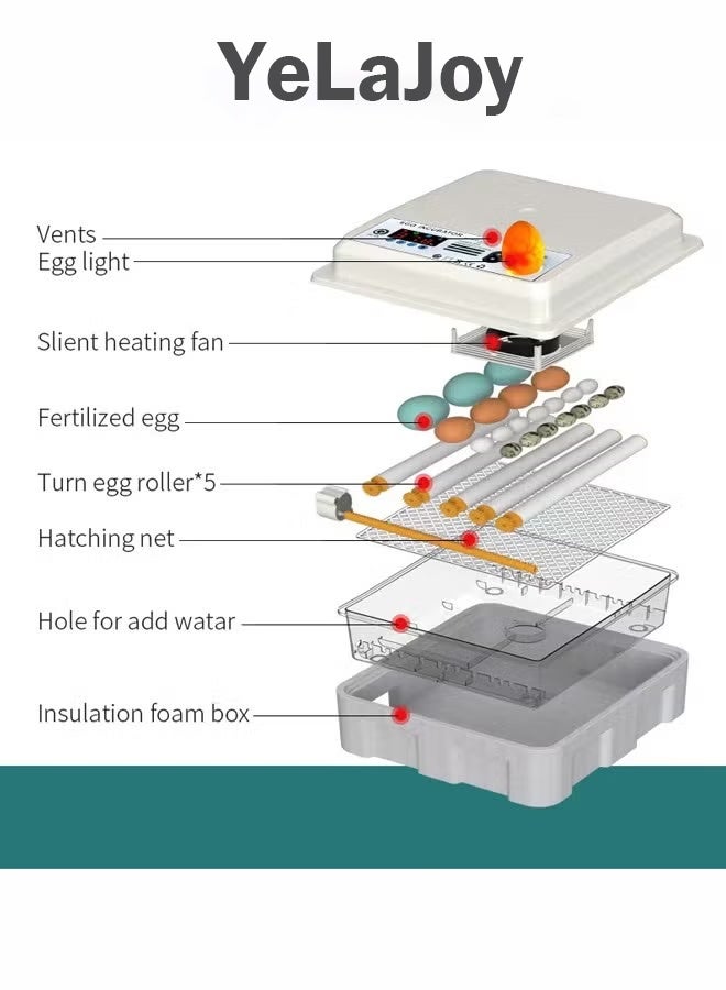 يلا جوي حاضنة منزلية صغيرة آلية تحول البيض الذكي آلة فقس البيض الرقمية عرض درجة الحرارة والرطوبة التحكم المستخدمة لفقس الدجاج والبط والأوز ، إلخ - Image 3