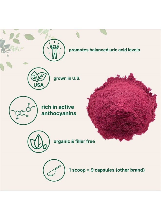 Micro Ingredients مسحوق الكرز الحامض العضوي، 4 أونصة - Image 4