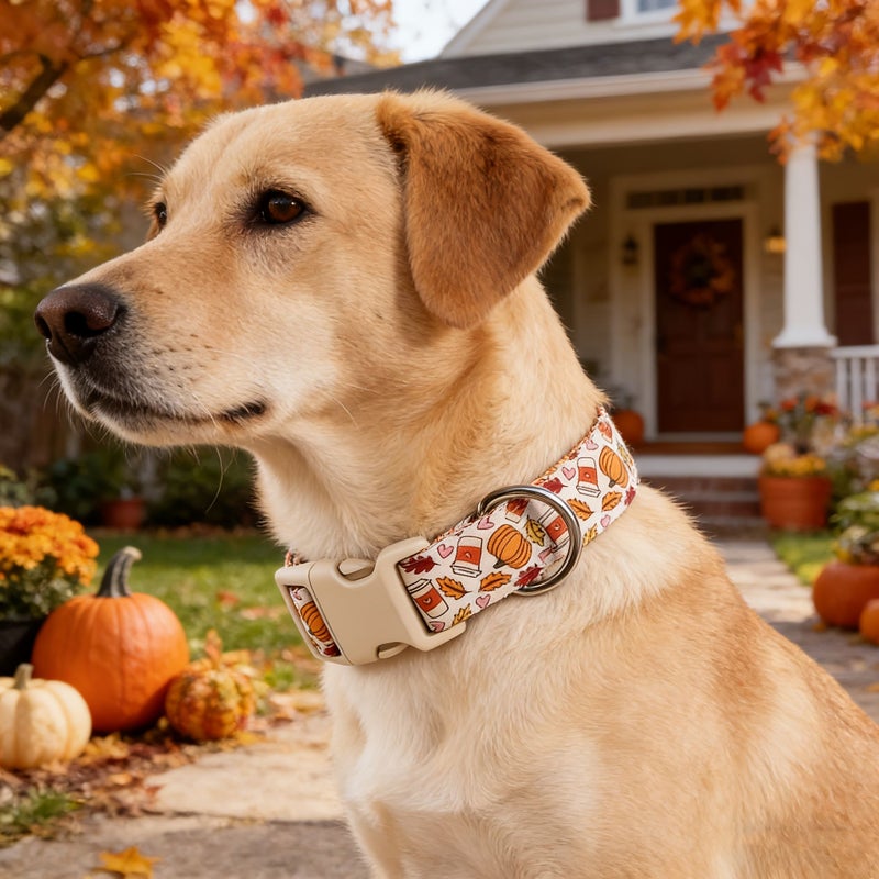 Cola Pumpkin Fall Dog Collar Adjustable Quick Release Polyester For Small Medium Large Dogs - Image 3