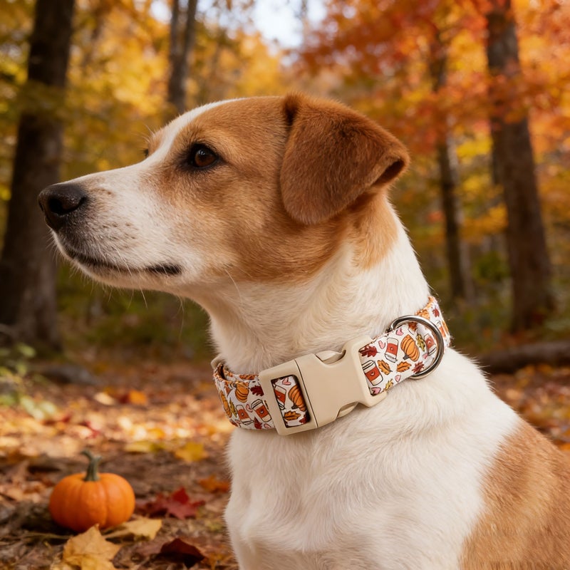 Cola Pumpkin Fall Dog Collar Adjustable Quick Release Polyester For Small Medium Large Dogs - Image 4