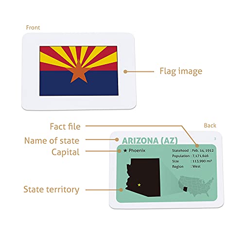 CARDDIA | U.S. State Flags Flashcards | 50 States with Names, Abbreviations, Capitals & Facts | Educational & Durable | Geography Learning Gift for Kids & Adults - Image 3