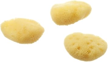 Hydrea London Cosmetic Sea Sponge Set - Image 2