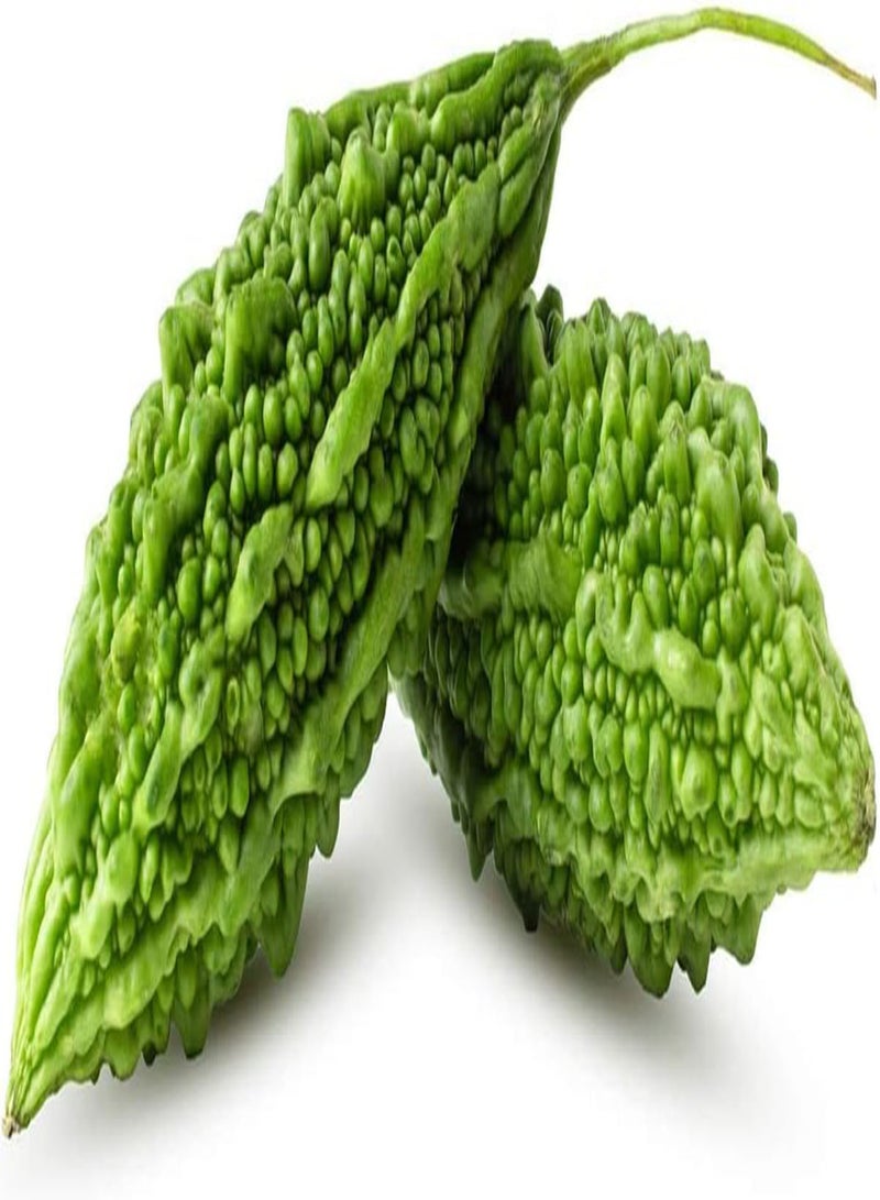 جي جوت 80 قطعة من بذور القرع المر، ذات قشرة خضراء، ذات شكل غريب، غير معدلة وراثيًا، خضراوات متسلقة تراثية، مناسبة للزراعة في حديقة المنزل، مناسبة للمبتدئين - Image 1