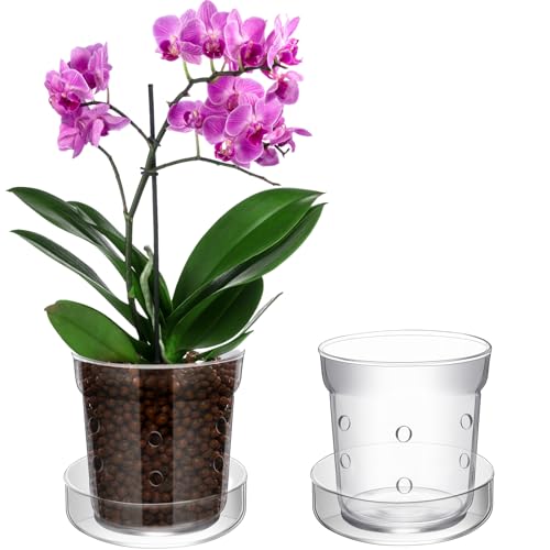 Baderke 1 Pcs Orchid Pot with Drainage Holes and Tray Transparent Glass Pot Planter for Orchids Flower Repotting Anti Slip Glass Plant Vase for Indoor Outdoor Home Decor 4 Inch - Image 1