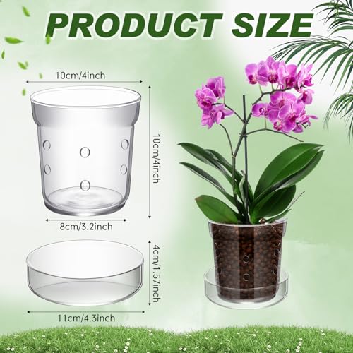 Baderke 1 Pcs Orchid Pot with Drainage Holes and Tray Transparent Glass Pot Planter for Orchids Flower Repotting Anti Slip Glass Plant Vase for Indoor Outdoor Home Decor 4 Inch - Image 3