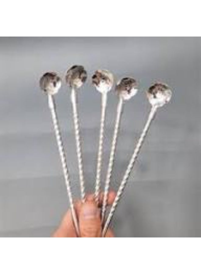 6-Piece Stainless Steel Drinking Straws Set with Stir Spoon & Cleaning Brush – Reusable Metal Straws Kit - Image 2
