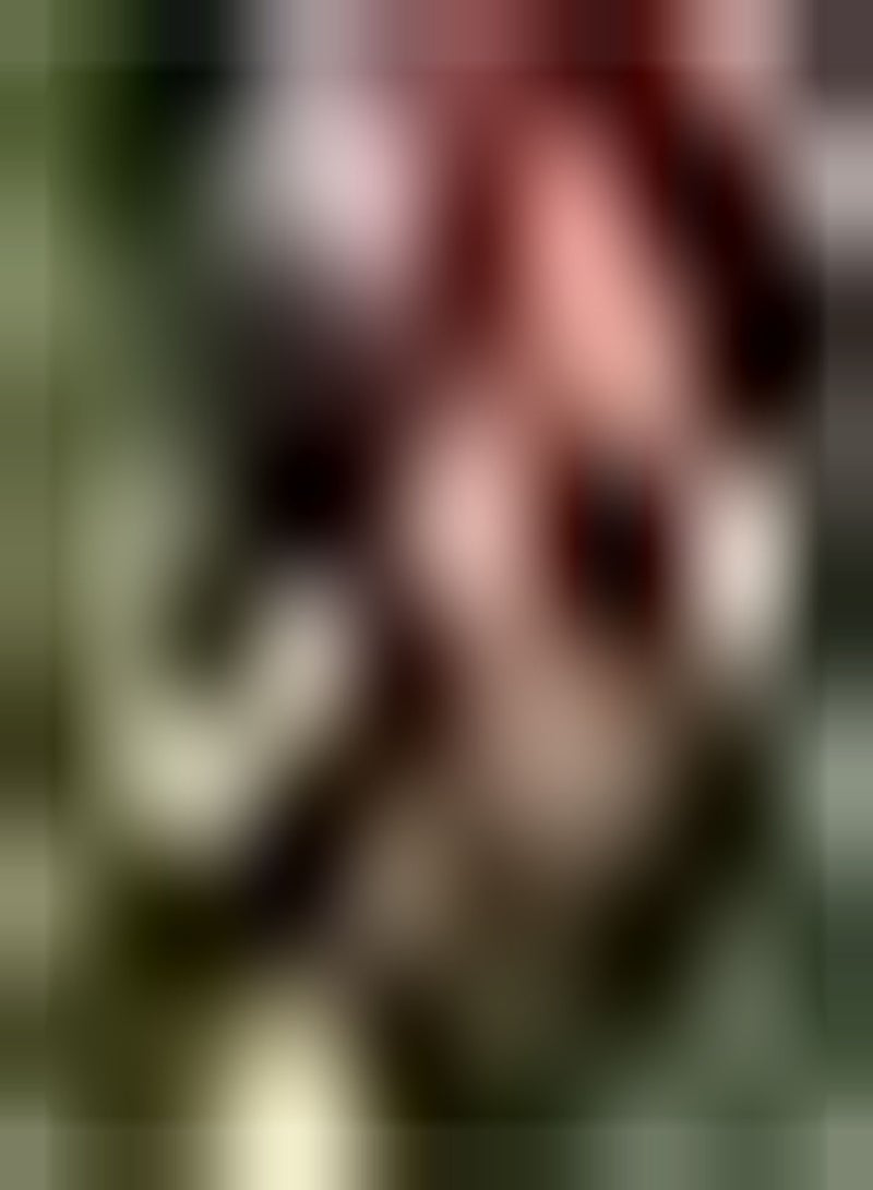 جي جوت 10 قطعة مزيج من Tulpenbollen المعمرة الملونة على شكل كأس أزهار للاستخدام في الهواء الطلق، نباتات Tuinieren Weinig Onderhoud Geschikt للمبتدئين - Image 1