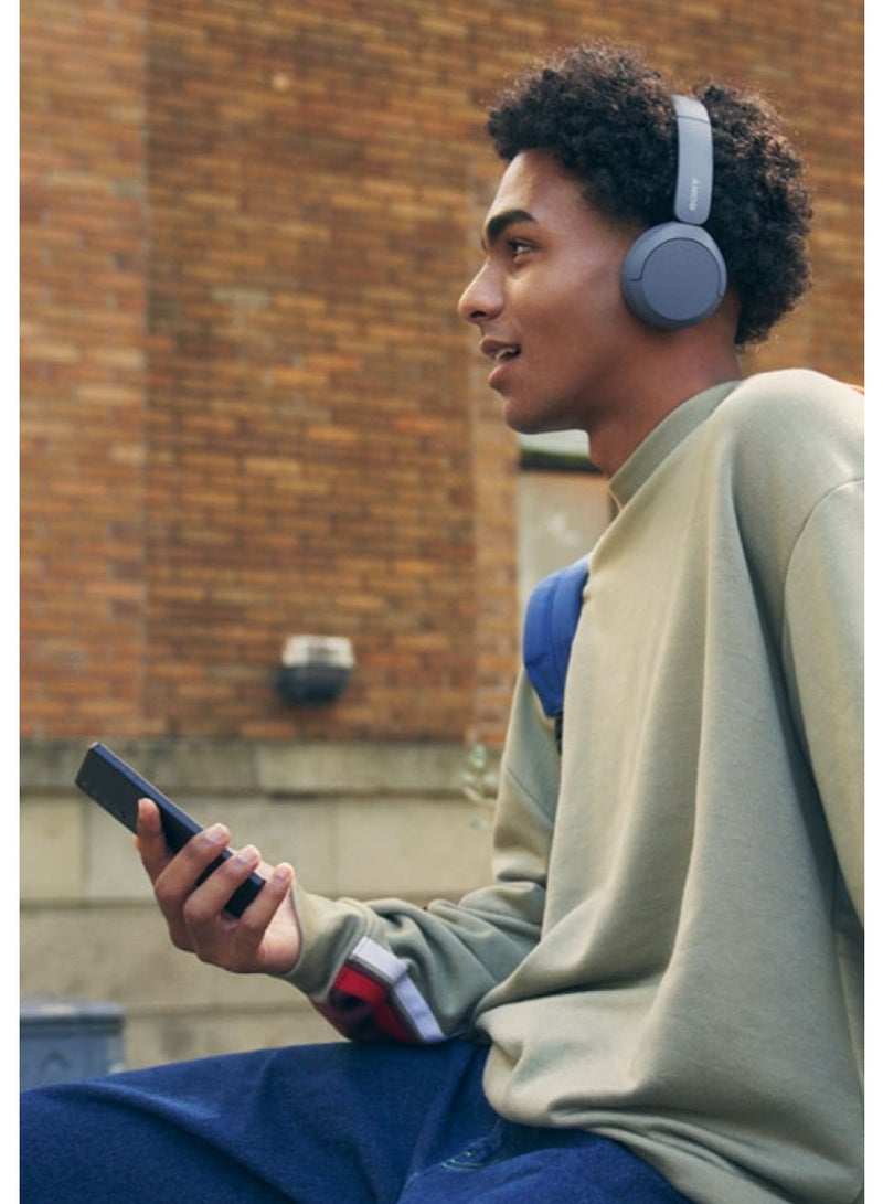 Sony Corporation سماعات سوني WH-CH520 اللاسلكية بلوتوث فوق الأذن مع ميكروفون، أزرق جديد - Image 5