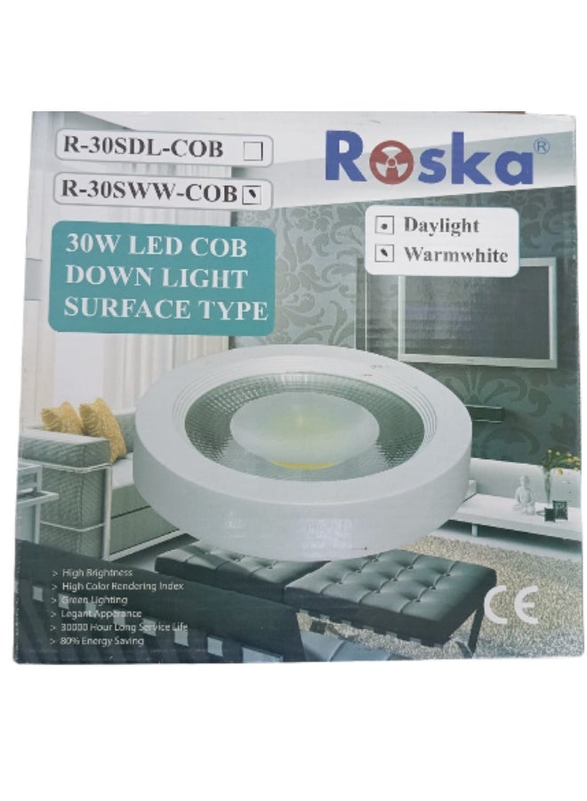 Roska 30W Led Cob Down Light Surface Type - Image 1