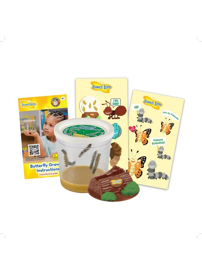 Insect Lore Cup Of Caterpillars | 5 Live Caterpillars For Butterfly Garden Kit | Refill For Painted Lady Butterfly Kit | Stem Learning With Stickers - Image 1