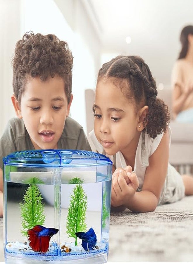 Betta Fish Tank with Double Compartment | Free Color Stone pebbels Included | Color May Vary - Image 2