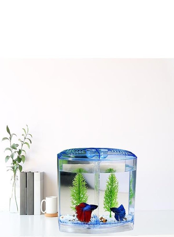 Betta Fish Tank with Double Compartment | Free Color Stone pebbels Included | Color May Vary - Image 5